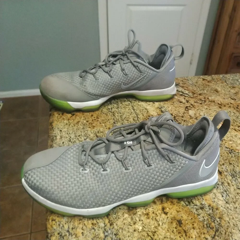 Nike Air Zoom Max LeBron James XIV 14 Low Dunkman Dust Reflect Silver 878636 005